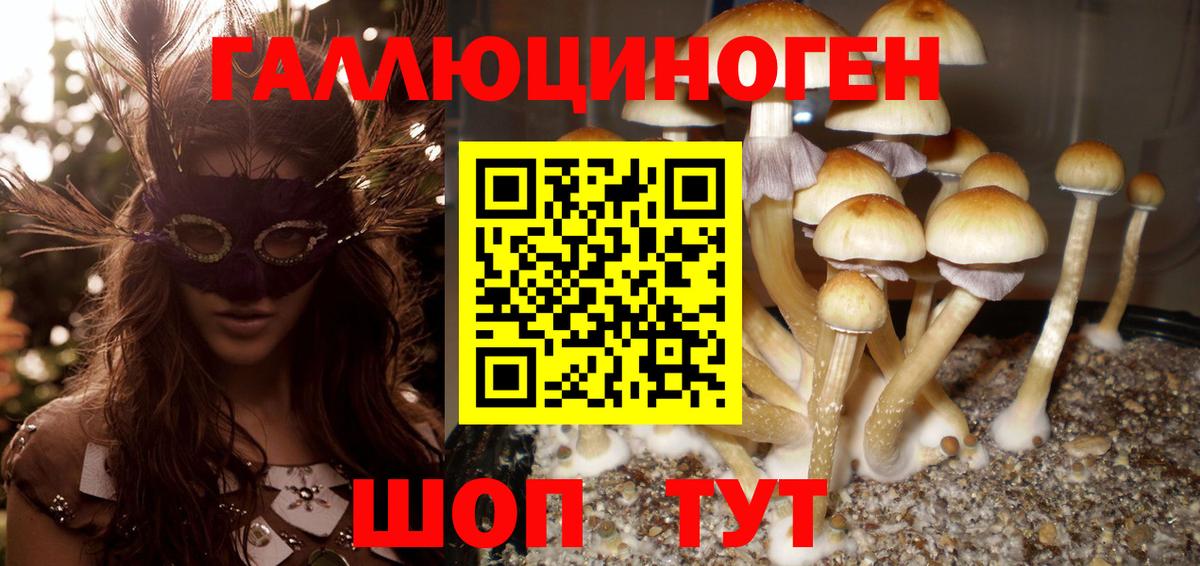 Галлюциногенные грибы прущие грибы  закладка  Галлюциногенные грибы мицелий  Соль-Илецк  Вход с VPN 