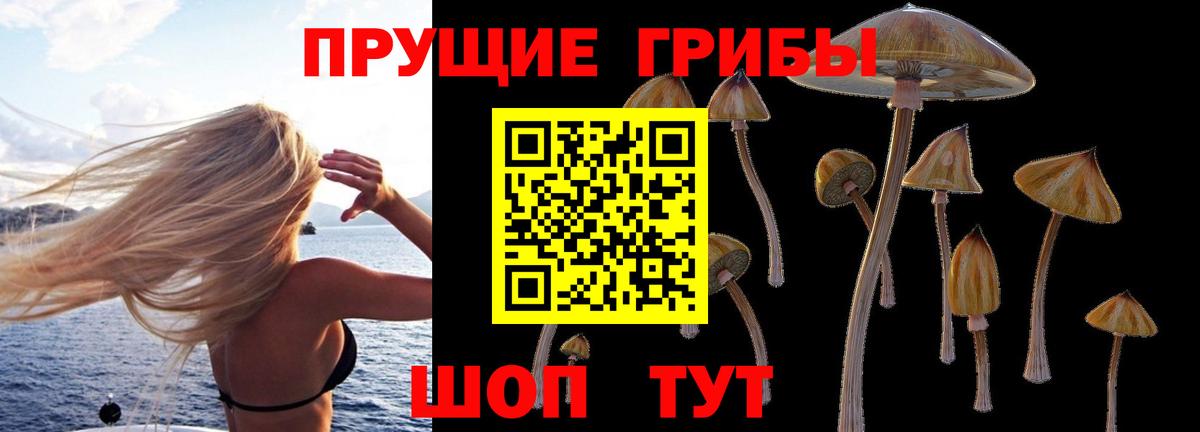 Галлюциногенные грибы прущие грибы Соль-Илецк